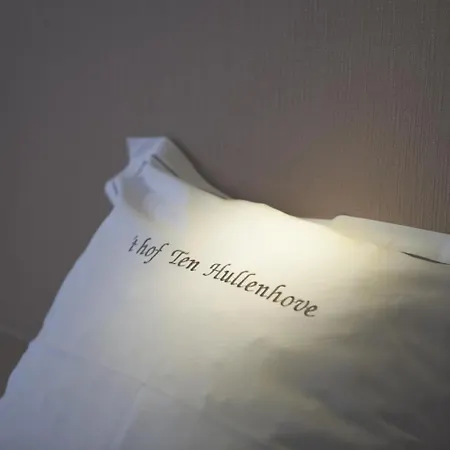 مزرعة للإقامة Hof Hullenhove *